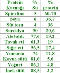 Protein Değeri Yüksek Besinler?