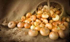 Soğan Besin Değeri?