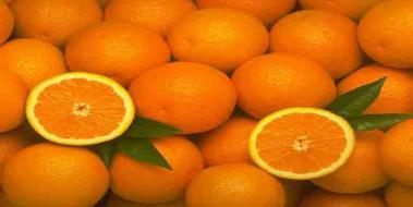 Portakal Besin Değeri